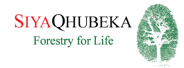 Siyaqhubeka Forestry